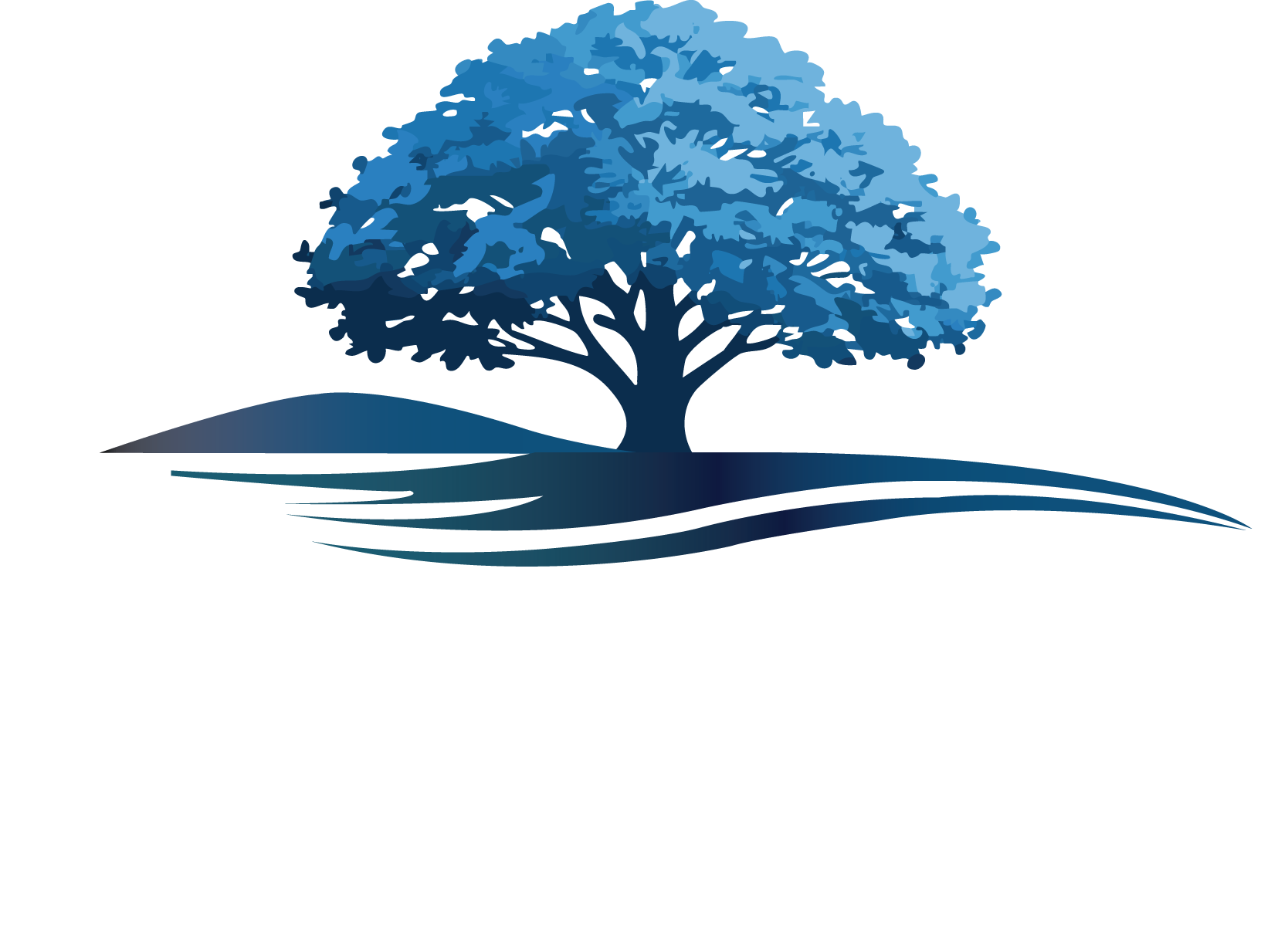 Blue Elm Talent Partners