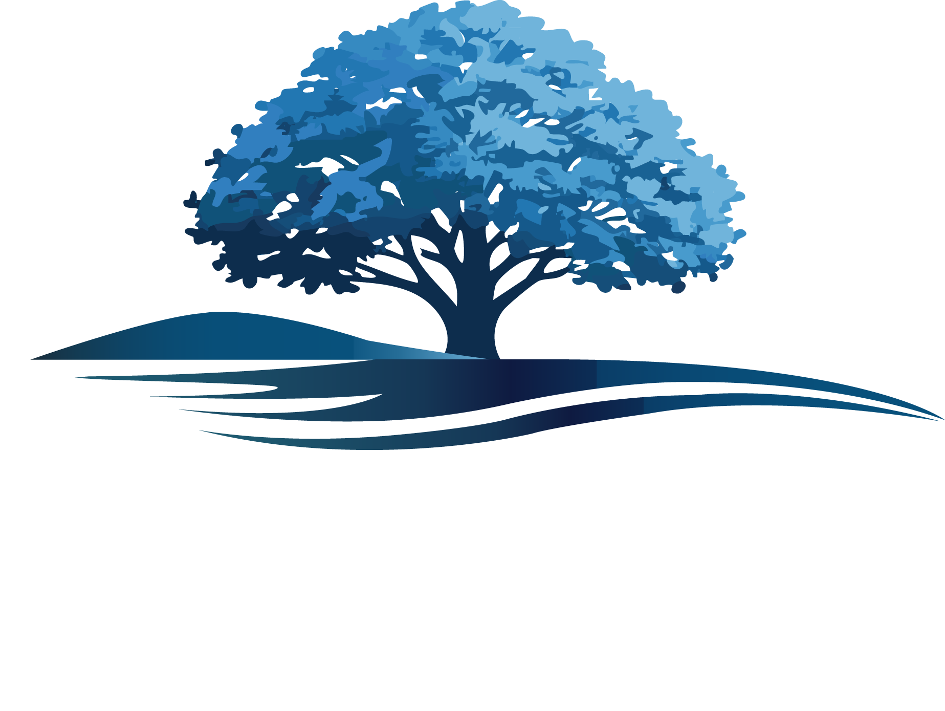 About Us Blue Elm Talent Partners Logo